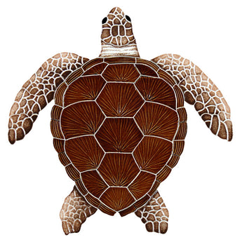 Loggerhead Brown Turtle Large