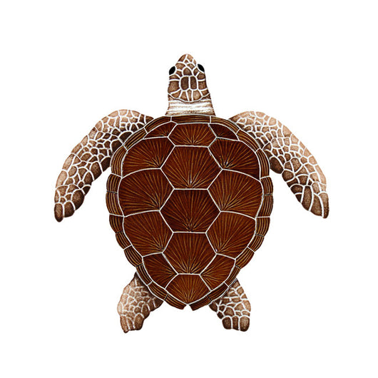 Loggerhead Brown Turtle Medium