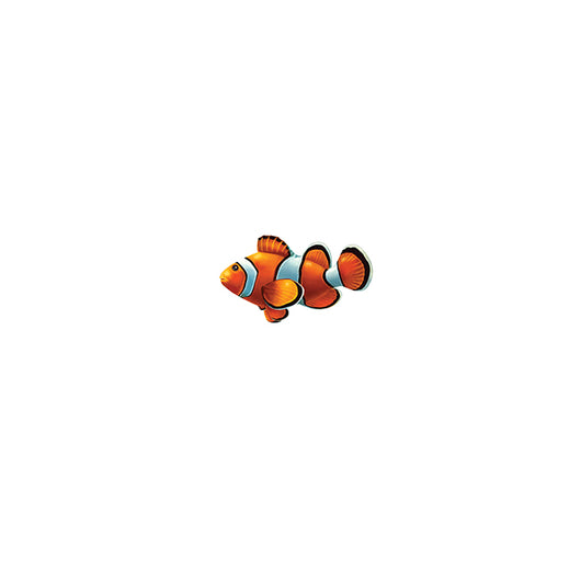 Clown Fish - Porc
