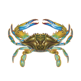 Crab 11