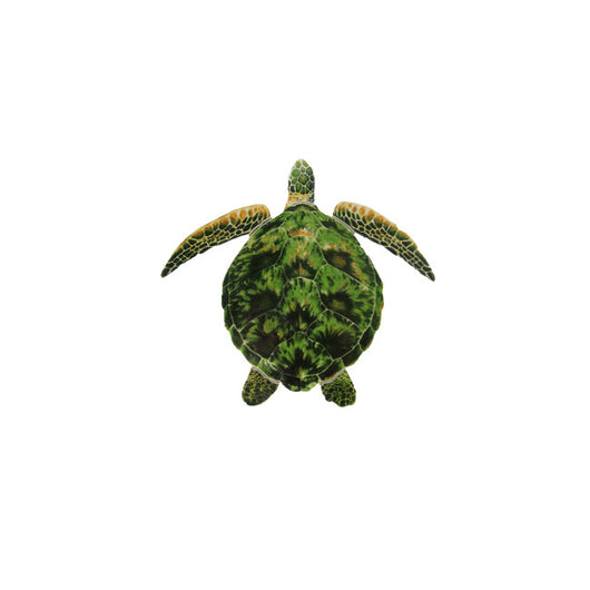 Green Porc Turtle -10