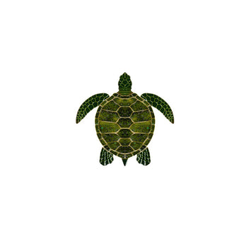 Sea Turtle - Green 10
