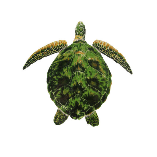 Green Porc Turtle -18