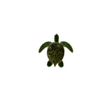 Sea Turtle - Green 5"