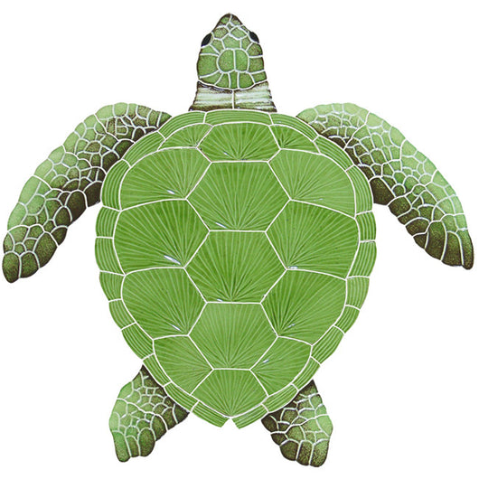 Loggerhead Green Turtle Large