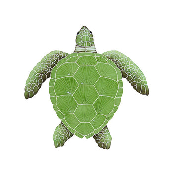 Loggerhead Green Turtle Medium