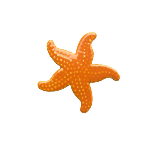 Orange Starfish