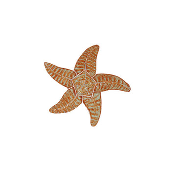 Starfish Brown 9