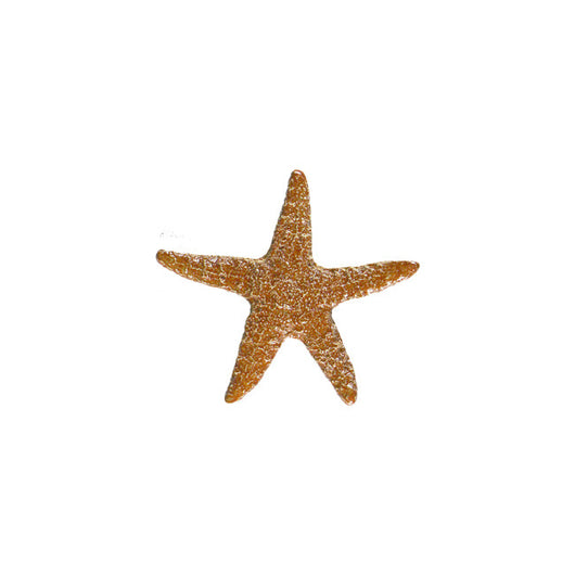 Starfish Brown 5