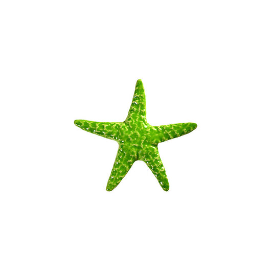 Starfish Lime 5